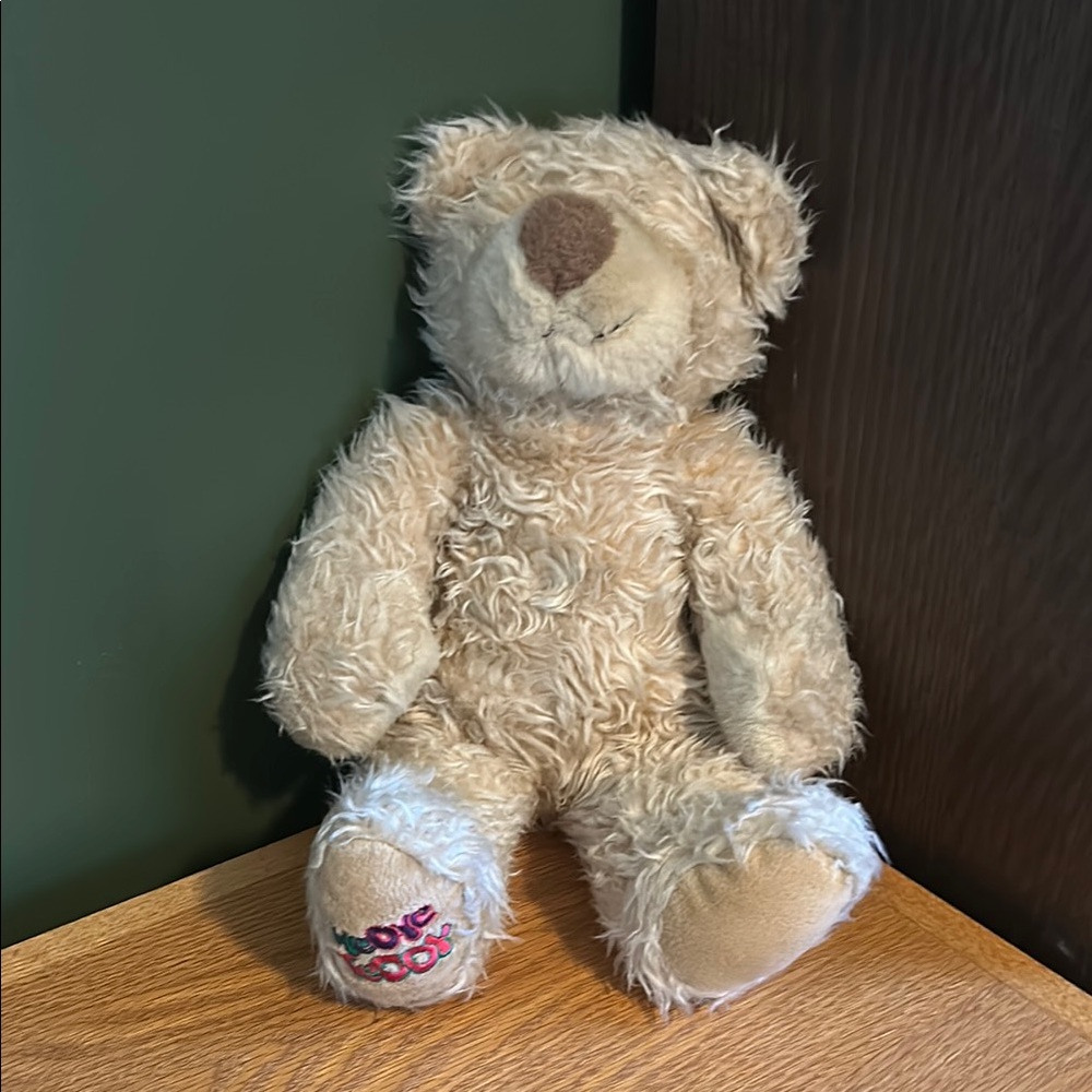 Vintage 1996 - Tye Dye Teddy